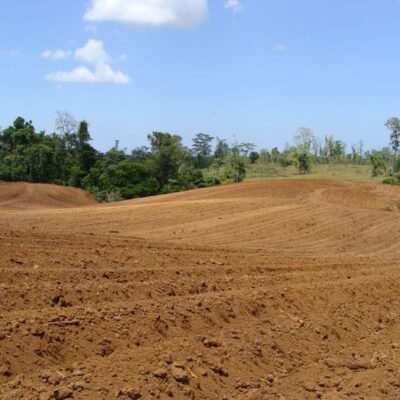 Terrain